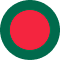 Branches Flag